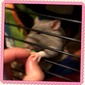 Fiona